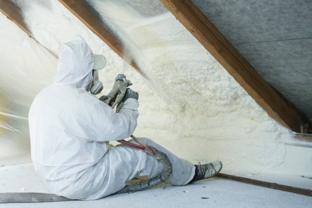  Lexington, NE Insulation Removal & Installation Pros