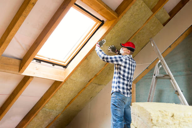 Best Eco-Friendly or Green Insulation Solutions in Lexington, NE